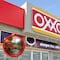 ¿Cuántas sucursales de Oxxo fueron quemadas durante narcobloqueos? Esto dijo Femsa