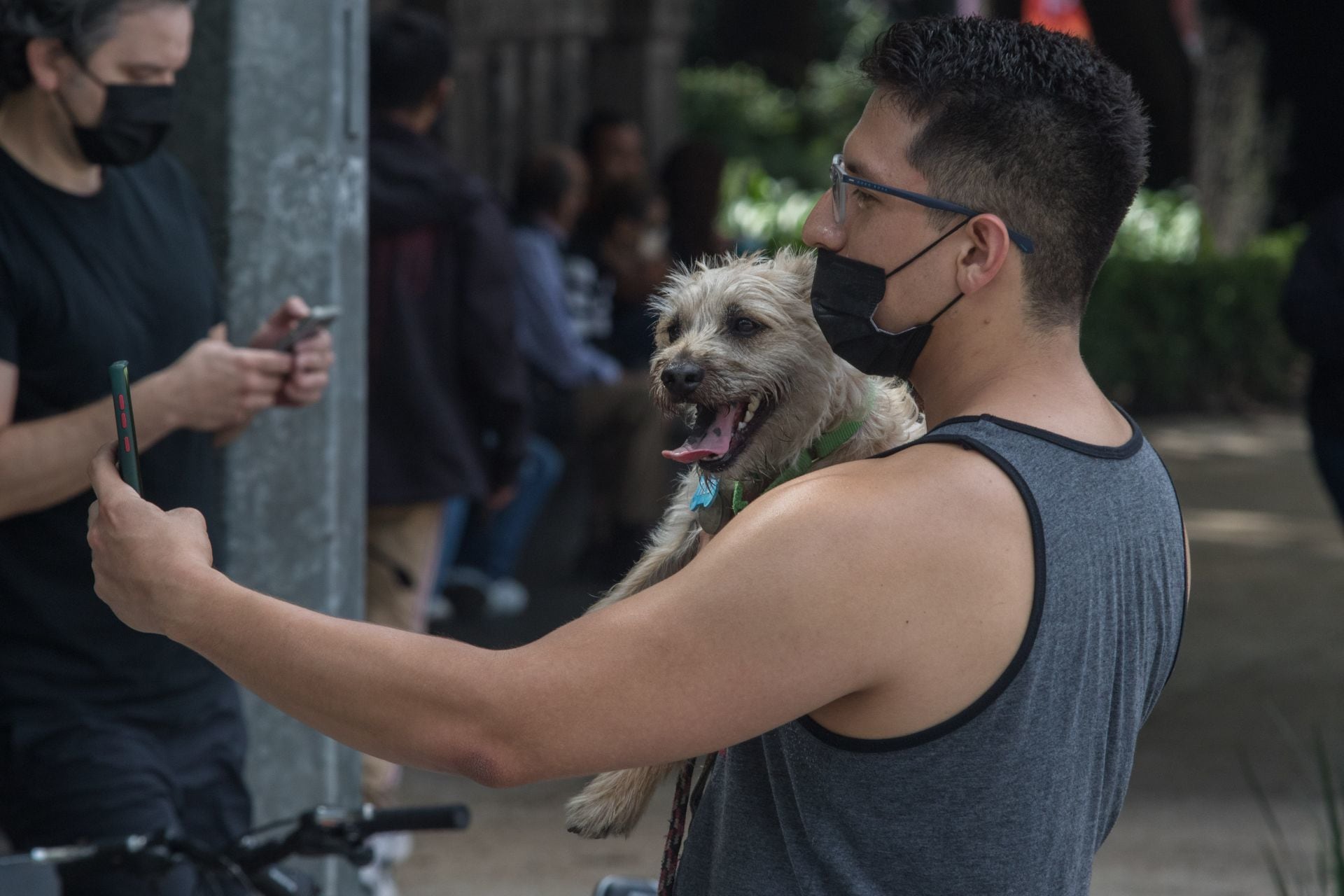 Perro y su dueño