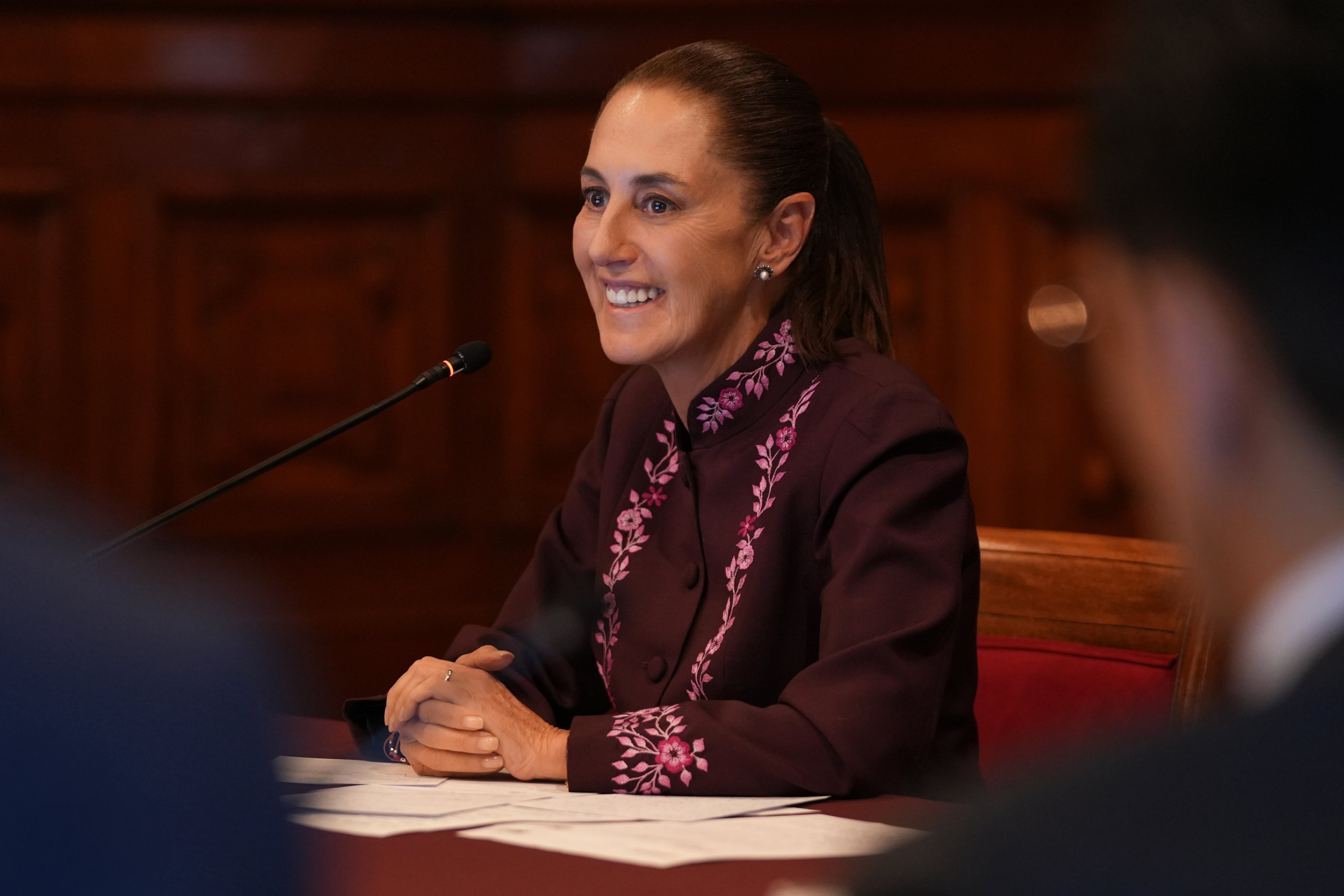 Reunión de Claudia Sheinbaum con Ronald Johnson