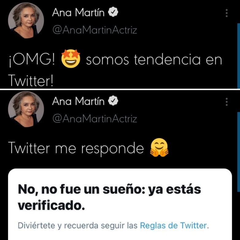 Tweet de Ana Martín.