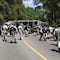 Guardia Nacional sufre accidente en Oaxaca; una elemento murió y 14 más resultaron heridos