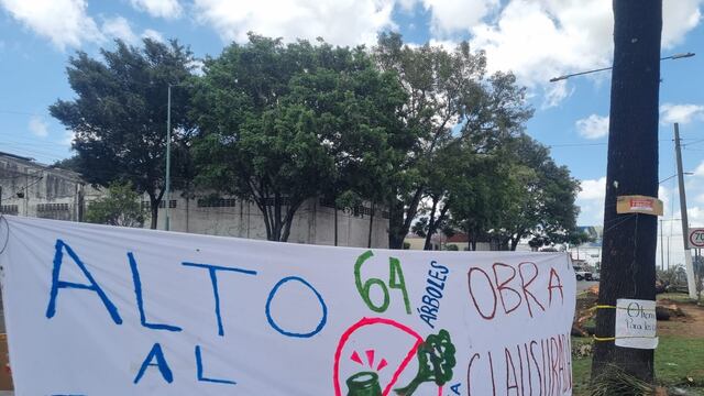 Por la construcción de una versión económica del Paso Superior Vehicular, en Xalapa, Veracruz, se realiza un ecocidio: La tala de 64 árboles