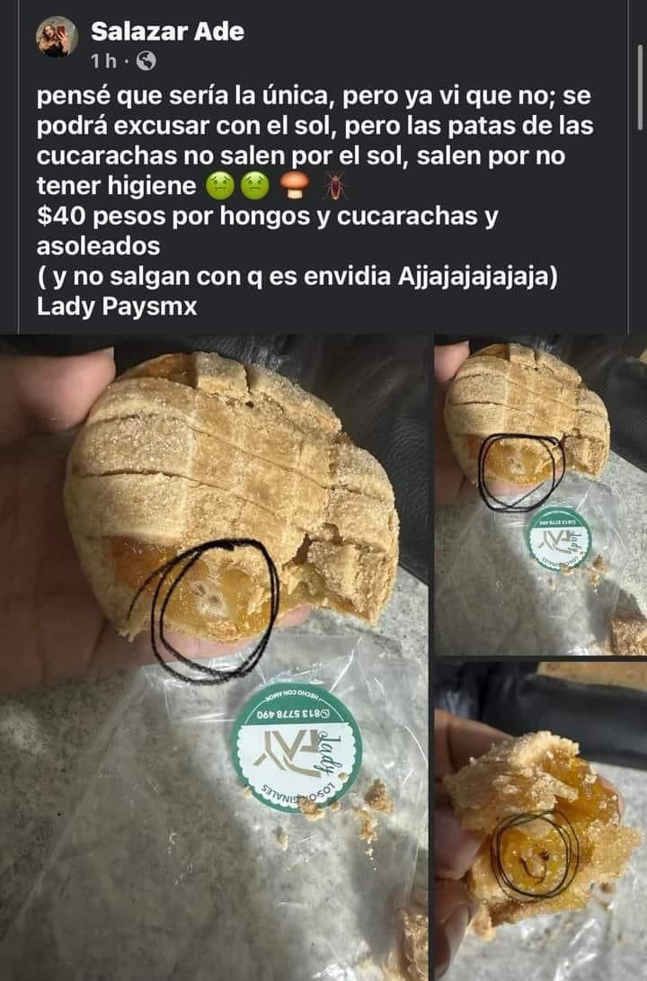 Lady Pays con hongos y cucarachas