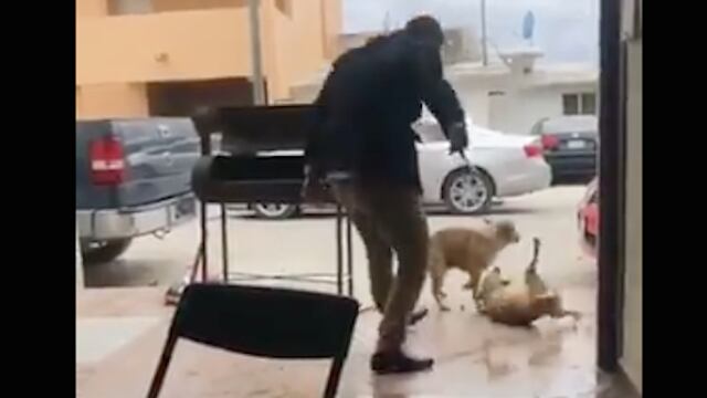 Video de la agresión