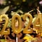 ¿Cuántos días tiene el 2024? Por esta razón se considera un año bisiesto