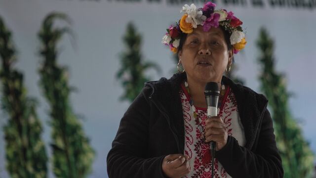 María de Jesús Patricio