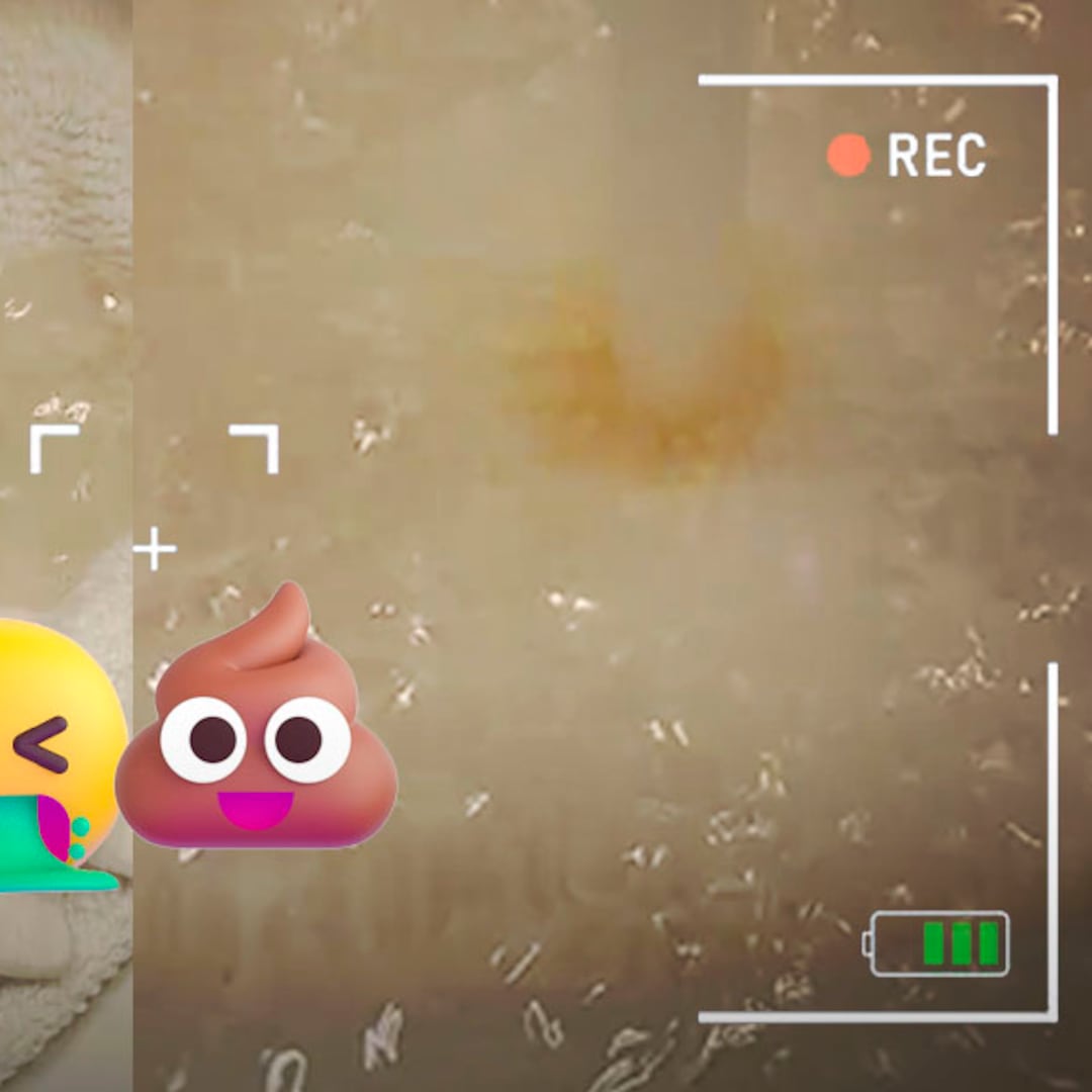 El video del baño del Carnival Paradise que se volvió viral por un asqueroso detalle