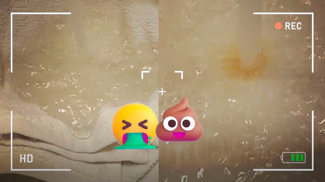 El video del baño del Carnival Paradise que se volvió viral por un asqueroso detalle