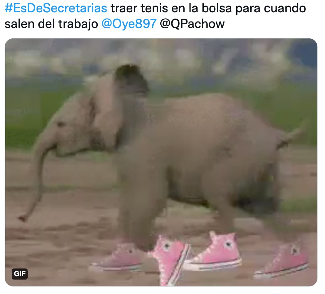 memes día de la secretaría 2022