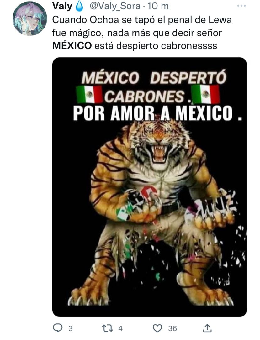 Memes Selección Mexicana.