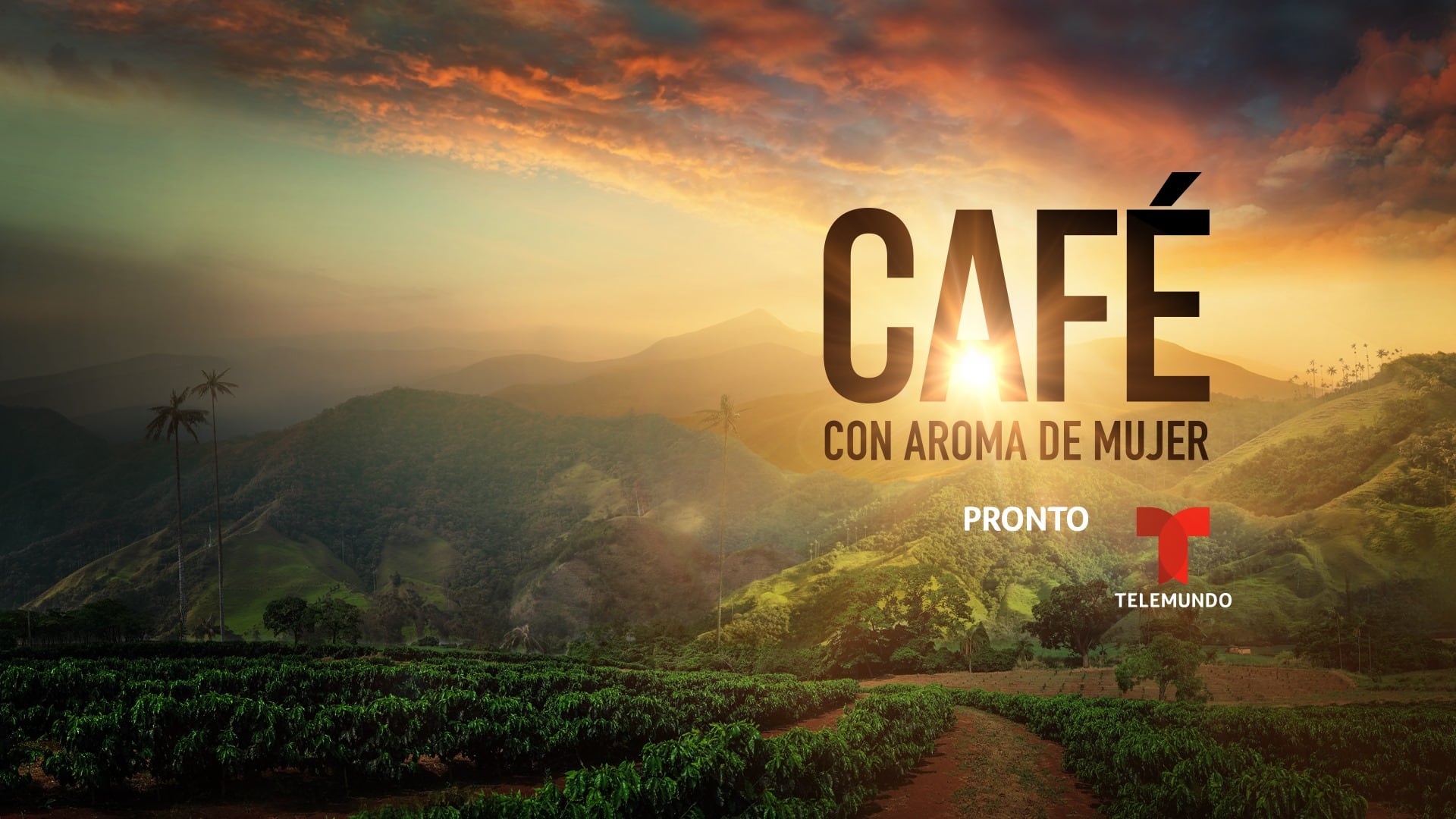 'Café con aroma de mujer'