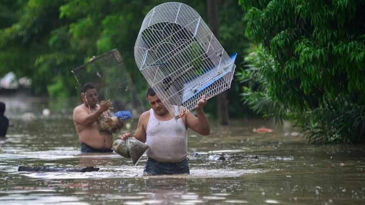 Río Tepango se desbordó en Santiago Tuxtla, Veracruz, tras lluvias torrenciales