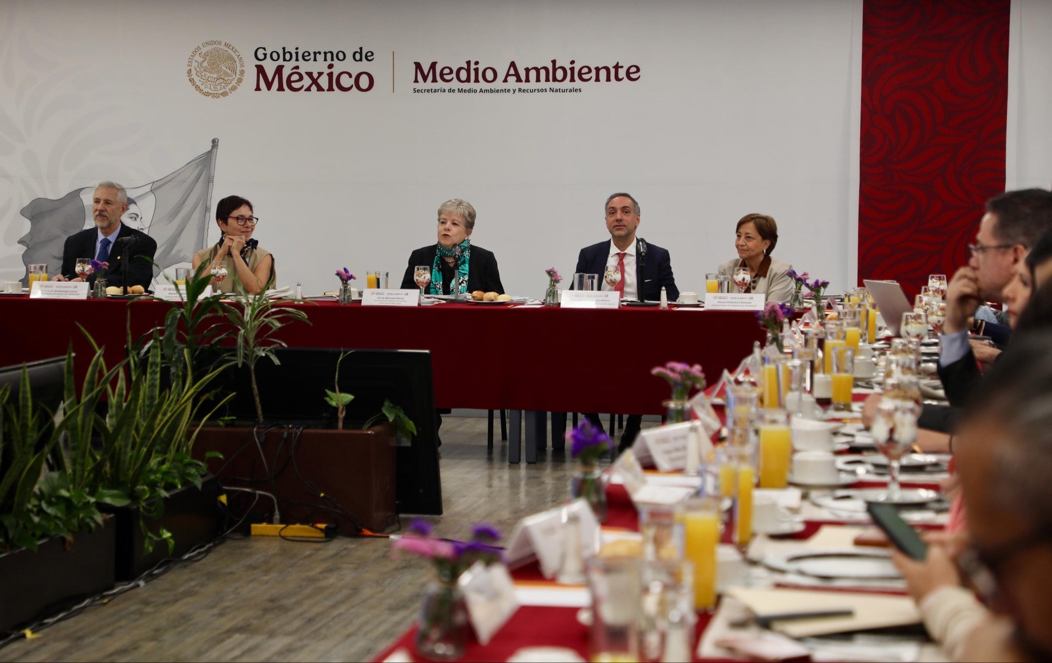 Semarnat reconoce daño ambiental que dejó Tren Maya