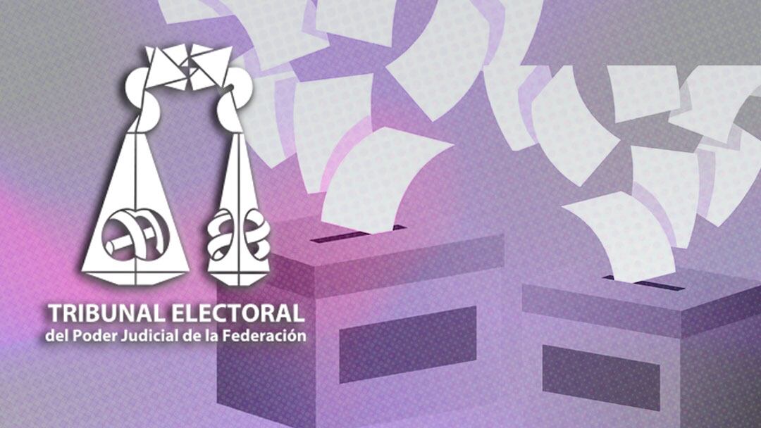 Elecciones Poder Judicial 2025 TEPJF: Quién ganó las votaciones