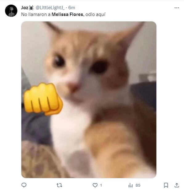 Memes por eliminación de Melissa Flores en Miss Universo 2023