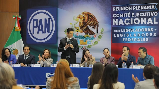 Jorge Romero, líder del PAN