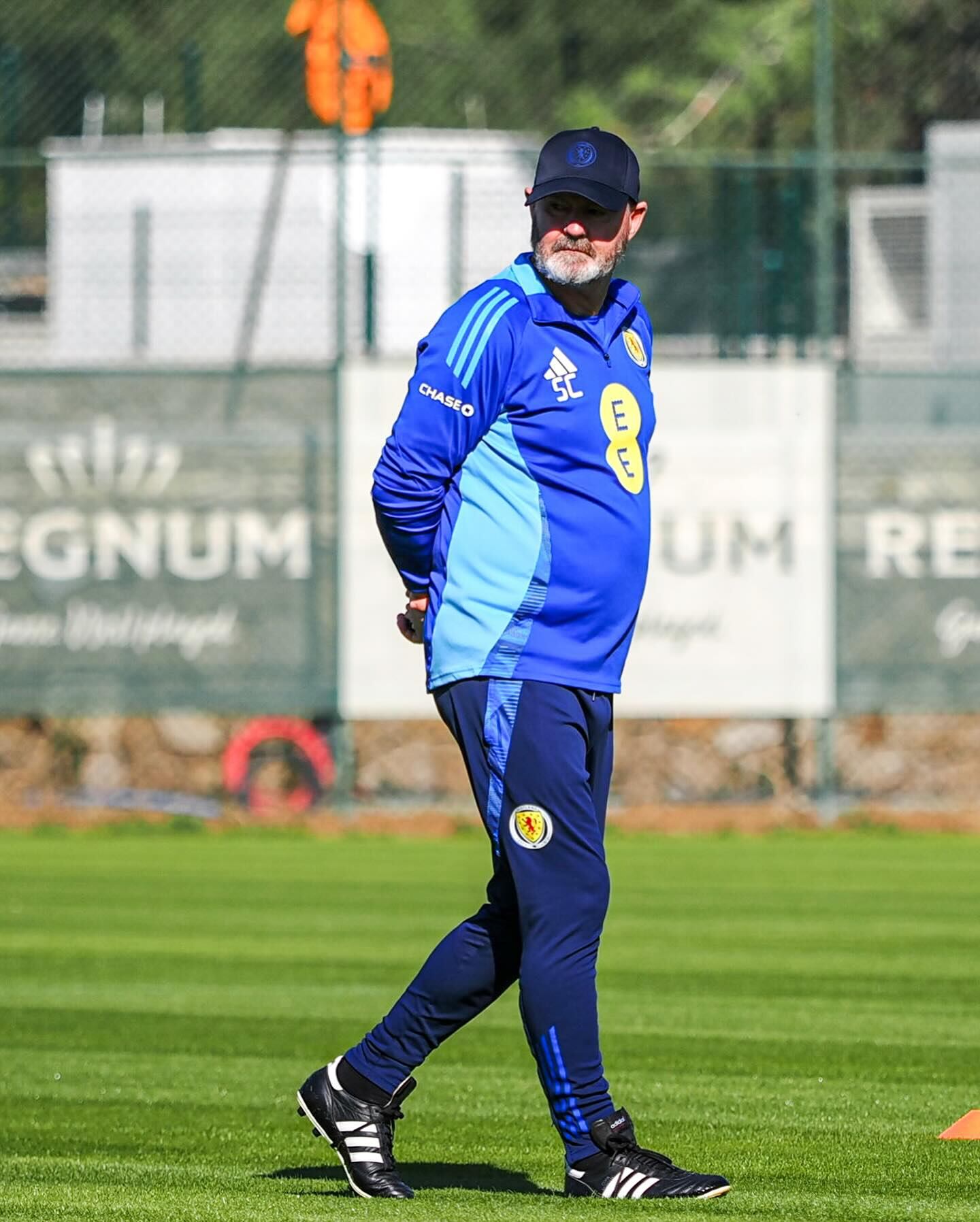 Steve Clarke, DT de Escocia