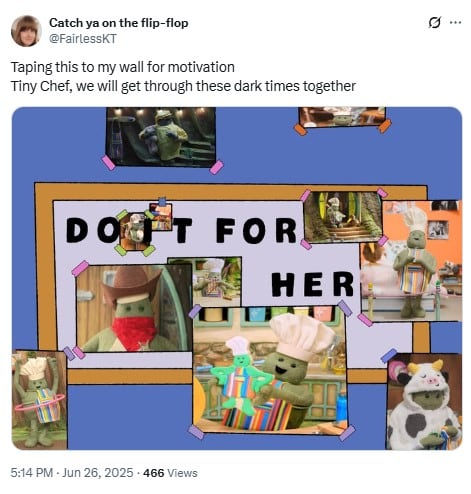 Memes de The Tiny Chef Show