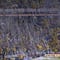 ¿Barras del Club Tigres controlan la venta de abonos del equipo? Libres y Lokos se pelean con periodista