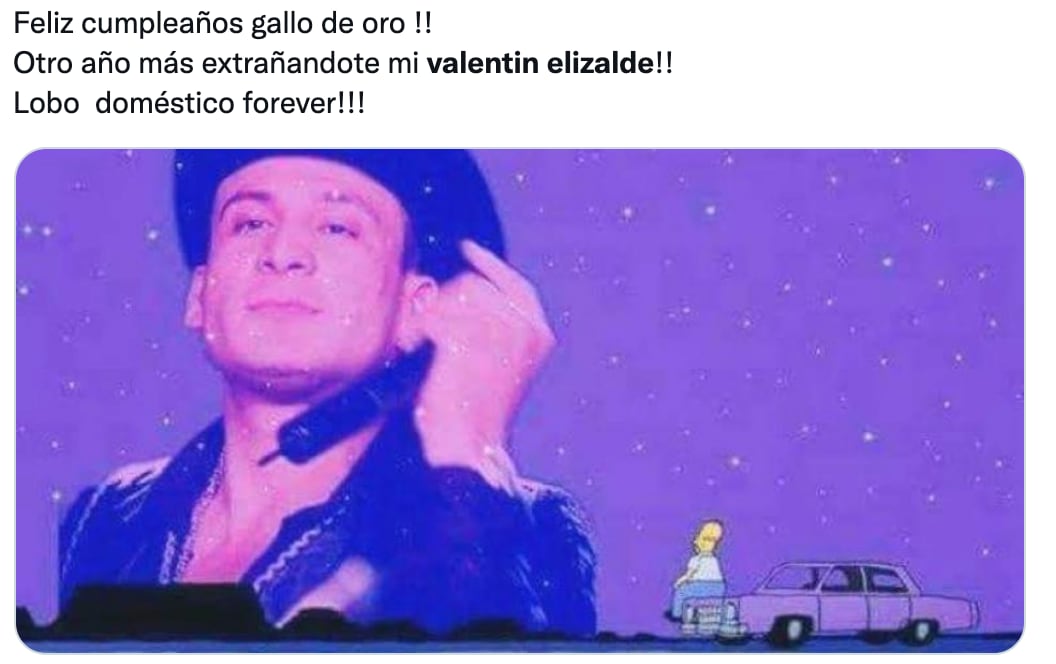 Memes de Harry Styles y Valentín Elizalde