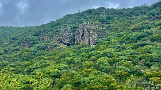 Más vida a nuestras áreas naturales, más futuro para Querétaro