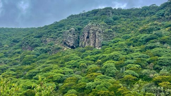 Más vida a nuestras áreas naturales, más futuro para Querétaro
