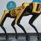 Empresas y usuarios confían más en robots para gestionar sus finanzas: KIO Networks