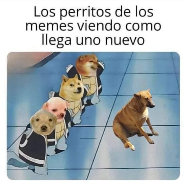 Cheems tiene versión mexicana: Cheempe