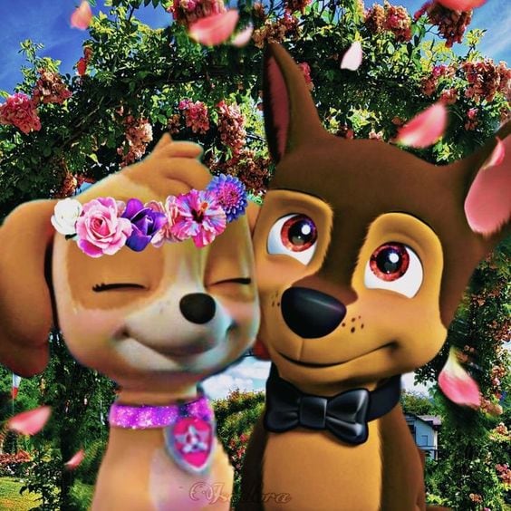Chase y Skye de Paw Patrol