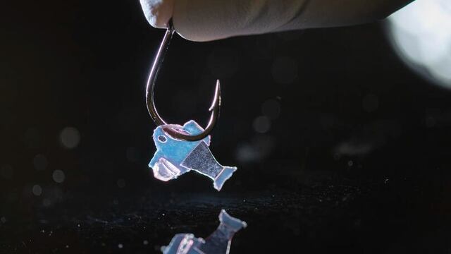 Pez robótico impulsado con células de un corazón humano