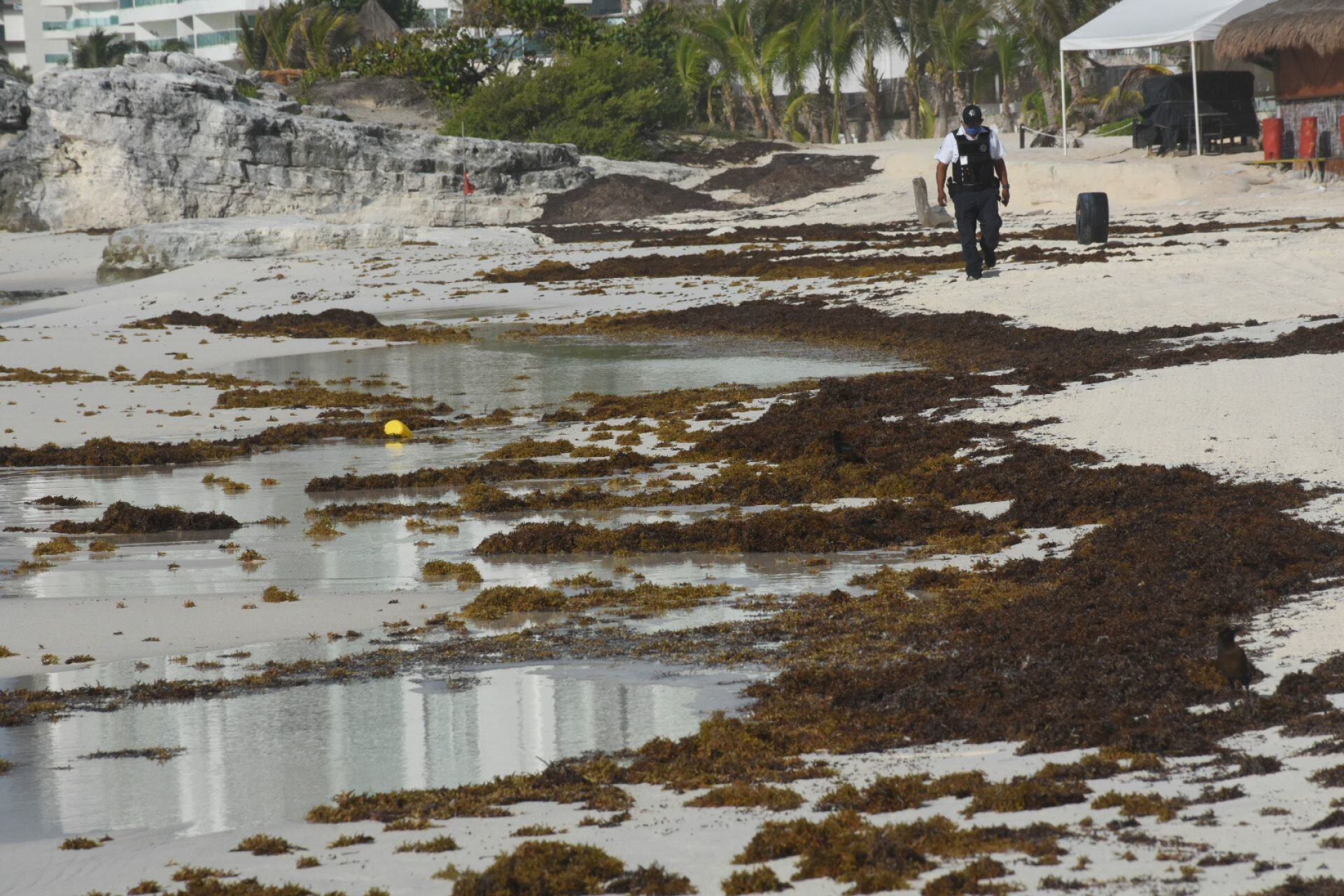 Playas Chacmool y Gaviotas