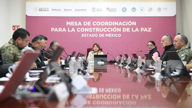 Delfina Gómez endurece acciones de prevención contra incendios forestales provocados