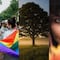 ¿Qué se celebra el 28 de junio? Hoy es Día del Orgullo LGBT, Día Mundial del Árbol y Día del Piercing Corporal