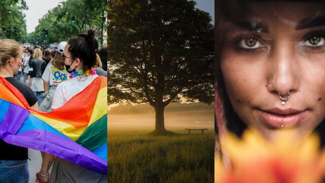 28 de junio se celebra el Día del Orgullo LGBT, el Día Mundial del Árbol y Día del Piercing Corporal