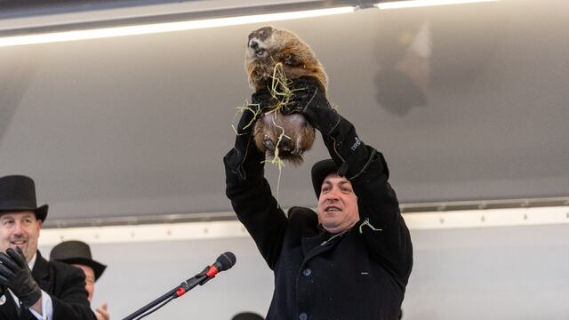 Cancelan Día de la Marmota porque Milltown Mel murió días antes