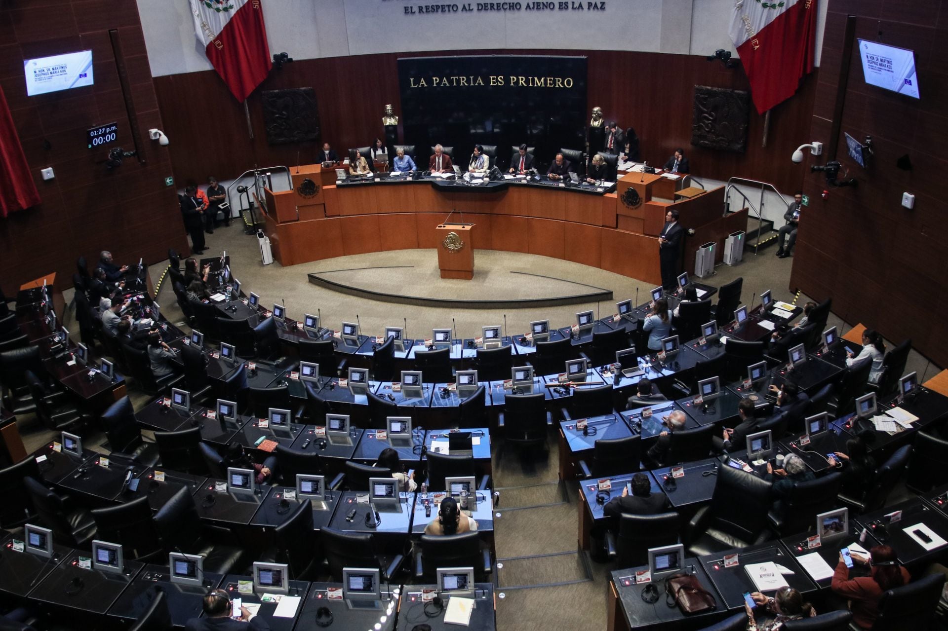 Cámara de Senadores busca evitar embargo de mascotas