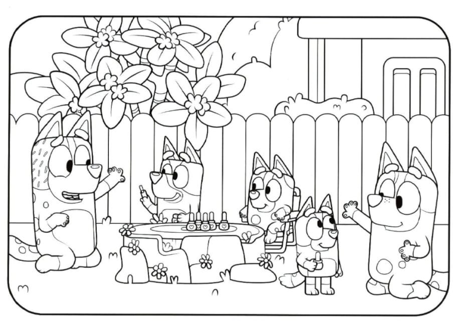 Bluey y Bingo de día de campo en primavera