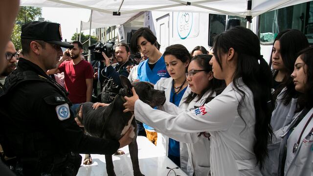 México es el primer país del mundo en erradicar la rabia en humanos transmitida por perros