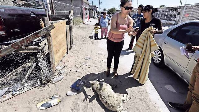 Maltrato animal en Ciudad Juárez