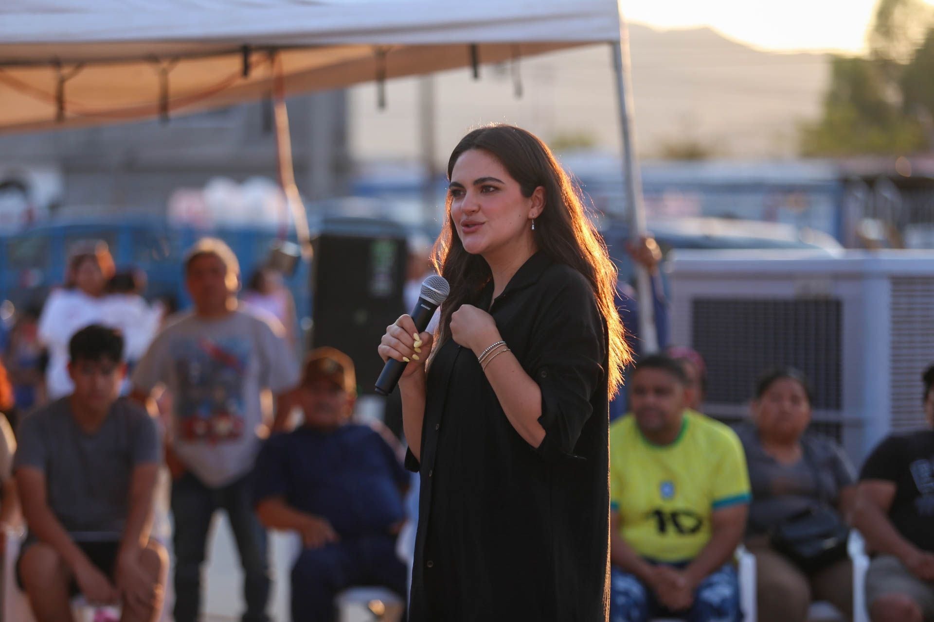 Andrea Chávez, senadora con licencia por Morena