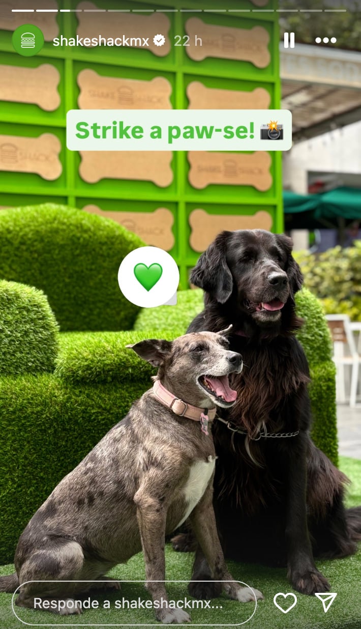 Shake Shack celebra Día del Perro