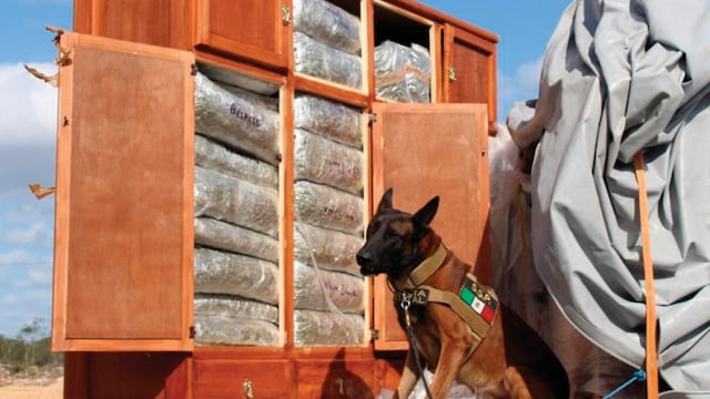 Decomiso de droga en Yucatán