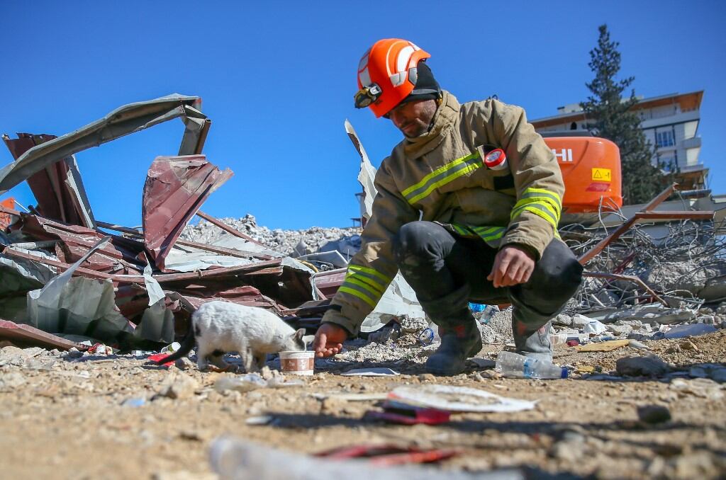 Enkaz, gato rescatado en Turquía, junto a el bombero Ali Cakas