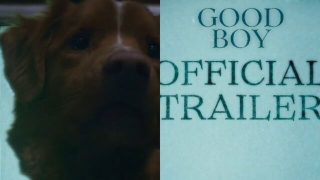Good Boy, teaser