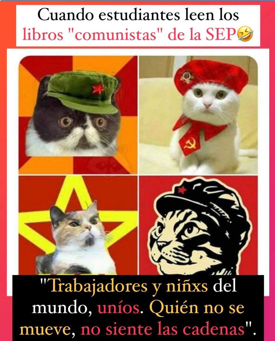 Surgen memes por queja de Javier Alatorre sobre libros de texto gratuitos