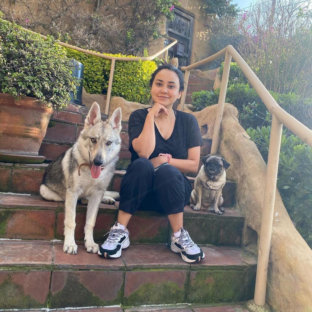 Miku y sus dos perros.