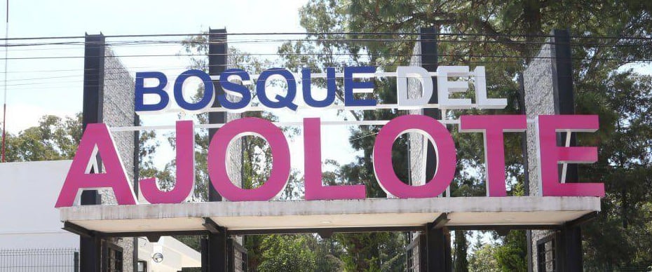 Bosque del Ajolote: en dónde está y cómo llegar desde CDMX y Estado de México