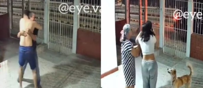 Perrito perdido vuelve a casa