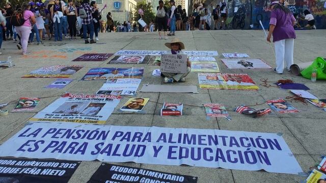 Deudores alimentarios morosos