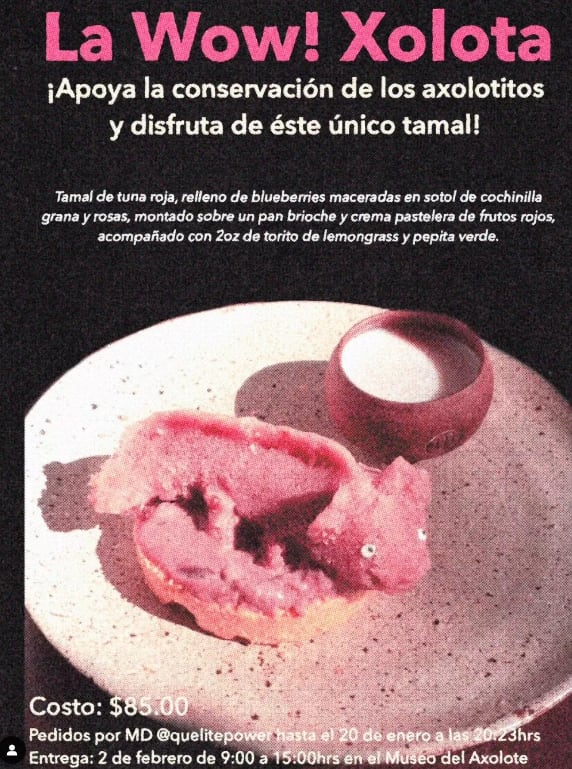'Woo xolota', tamal en forma de axolote